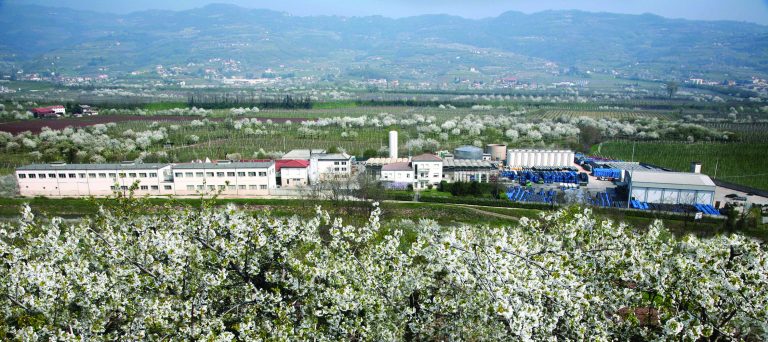 Trattamento antibatterico su impianto di ricircolo per preparati alimentari presso Azienda CESARIN S.p.a.